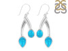 Turquoise Earring TRQ-RDE-251.