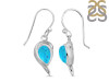 Turquoise Earring TRQ-RDE-307.