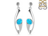 Turquoise Earring TRQ-RDE-445.