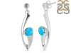 Turquoise Earring TRQ-RDE-445.