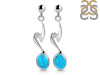 Turquoise Earring TRQ-RDE-446.