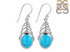 Turquoise Earring TRQ-RDE-453.
