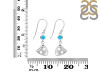 Turquoise Earring TRQ-RDE-464.