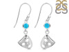 Turquoise Earring TRQ-RDE-464.