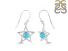 Turquoise Earring TRQ-RDE-567.