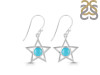 Turquoise Earring TRQ-RDE-567.