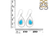 Turquoise Earring TRQ-RDE-58.