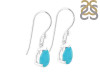Turquoise Earring TRQ-RDE-676.