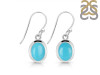 Turquoise Earring TRQ-RDE-683.
