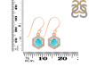 Turquoise & White Topaz Earring TRQ-RDE-701.