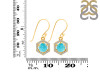 Turquoise & White Topaz Earring TRQ-RDE-701.