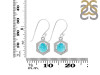 Turquoise & White Topaz Earring TRQ-RDE-701.