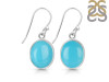 Turquoise Earring TRQ-RDE-727.