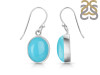Turquoise Earring TRQ-RDE-727.