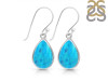 Turquoise Earring TRQ-RDE-728.