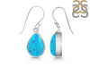 Turquoise Earring TRQ-RDE-728.
