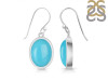 Turquoise Earring TRQ-RDE-730.