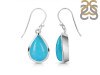 Turquoise Earring TRQ-RDE-731.