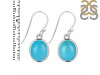 Turquoise Earring TRQ-RDE-779.