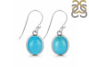 Turquoise Earring TRQ-RDE-779.