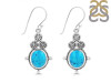 Turquoise Earring TRQ-RDE-82.