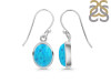 Turquoise Earring TRQ-RDE-829.