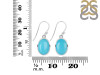 Turquoise Earring TRQ-RDE-830.