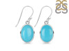 Turquoise Earring TRQ-RDE-830.