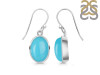 Turquoise Earring TRQ-RDE-830.