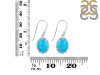Turquoise Earring TRQ-RDE-833.