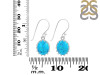 Turquoise Earring TRQ-RDE-843.