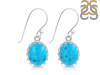 Turquoise Earring TRQ-RDE-843.