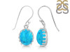 Turquoise Earring TRQ-RDE-843.