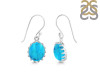Turquoise Earring TRQ-RDE-844.