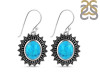 Turquoise Earring TRQ-RDE-86.