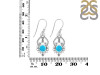 Turquoise Earring TRQ-RDE-90.