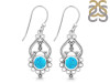 Turquoise Earring TRQ-RDE-90.