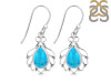 Turquoise Earring TRQ-RDE-92.