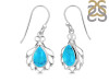 Turquoise Earring TRQ-RDE-92.