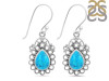 Turquoise Earring TRQ-RDE-94.