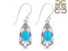 Turquoise Earring TRQ-RDE-95.
