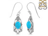 Turquoise Earring TRQ-RDE-95.
