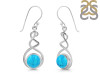 Turquoise Earring TRQ-RDE-97.