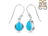 Turquoise Earring TRQ-RDE-999.