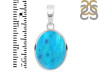 Turquoise Pendant TRQ-RDP-473.