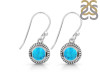Turquoise Earring TRQ-RE-14.