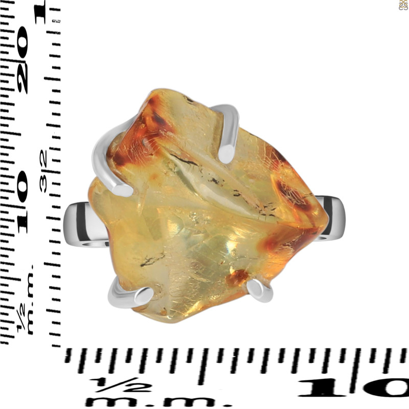 Amber Ring-R-Size-7 AMB-2-73