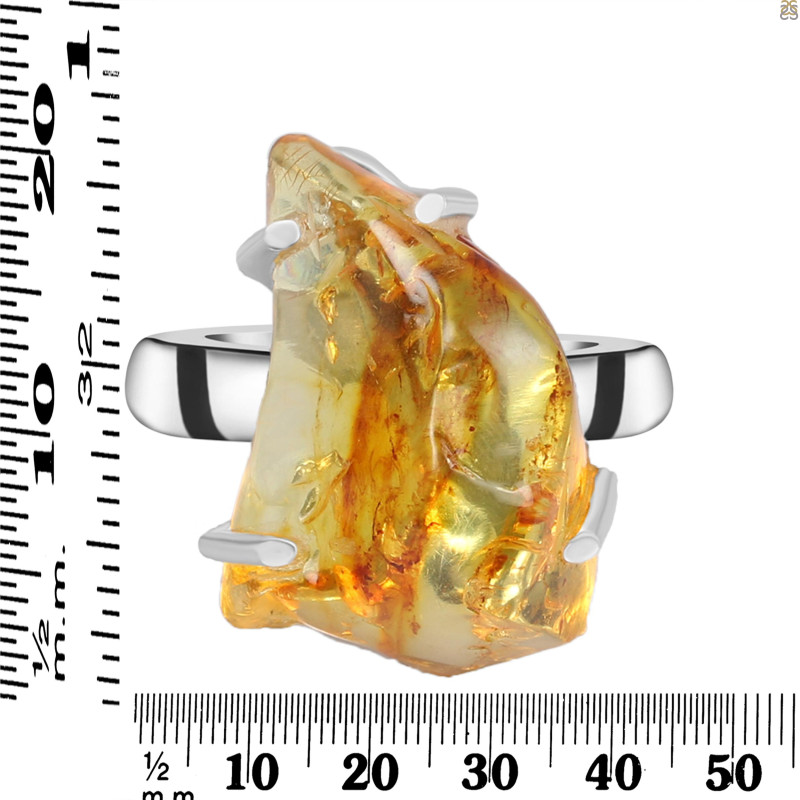 Amber Ring-R-Size-7 AMB-2-89