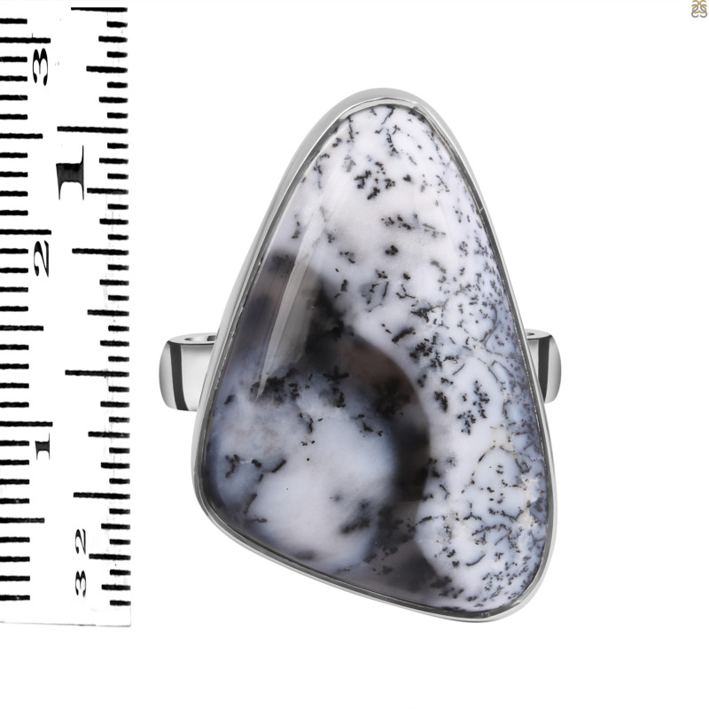 Dendritic Agate Adjustable Ring-ADJ-R DDA-2-229