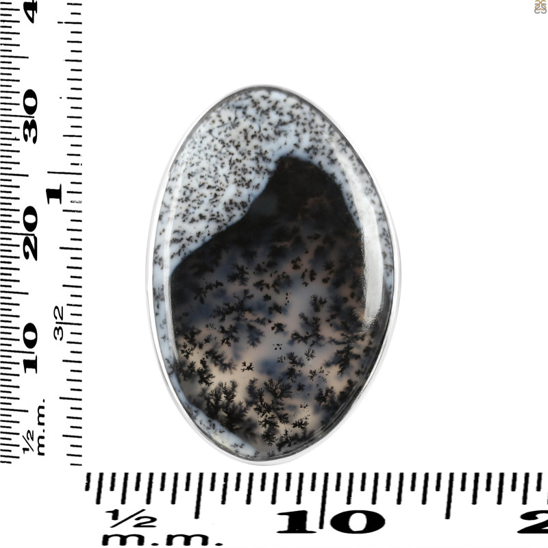 Dendritic Agate Adjustable Ring-ADJ-R DDA-2-249